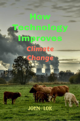 How Technology Improves(English, Paperback, Lok John)
