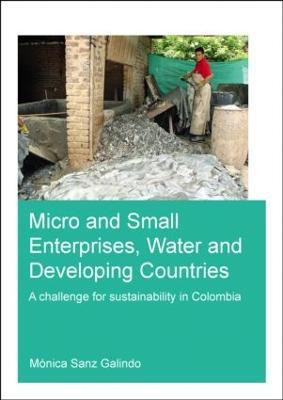 Micro and Small Enterprises, Water and Developing Countries(English, Paperback, Sanz Galindo Gloria Ana Maria Monica)