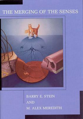 The Merging of the Senses(English, Paperback, Stein Barry E.)