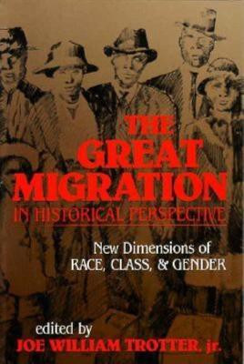 The Great Migration in Historical Perspective(English, Paperback, unknown)