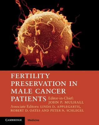 Fertility Preservation in Male Cancer Patients(English, Hardcover, unknown)