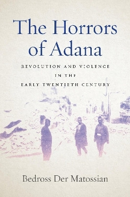 The Horrors of Adana(English, Paperback, Der Matossian Bedross)
