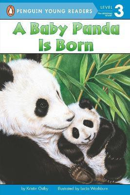 A Baby Panda Is Born(English, Paperback, Ostby Kristin)