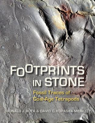 Footprints in Stone(English, Paperback, Buta Ronald J.)