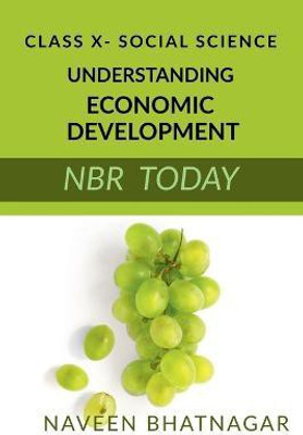 Class X Understanding Economic Development(English, Paperback, Bhatnagar Naveen)