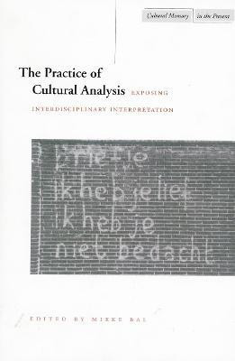 The Practice of Cultural Analysis(English, Paperback, unknown)