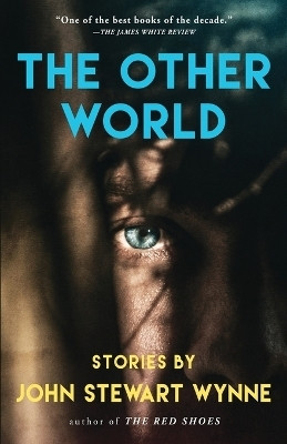 The Other World(English, Paperback, Wynne John Stewart)