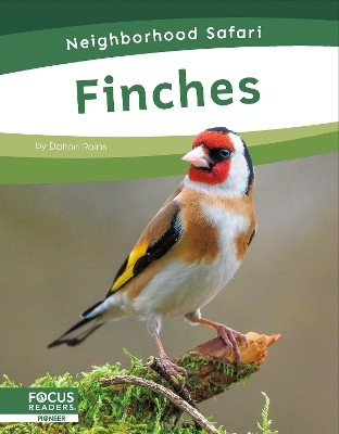 Finches(English, Paperback, Rains Dalton)