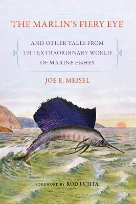 The Marlin's Fiery Eye and Other Tales from the Extraordinary World of Marine Fishes(English, Paperback, Meisel Joe E.)