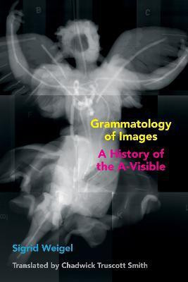 Grammatology of Images(English, Paperback, Weigel Sigrid)