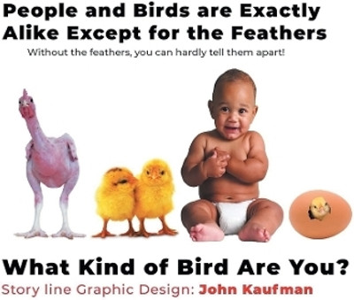 People And Birds Are Exactly Alike Except For The Feathers(English, Paperback, Kaufman John)