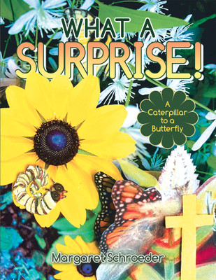 What a Surprise!(English, Paperback, Schroeder Margaret)