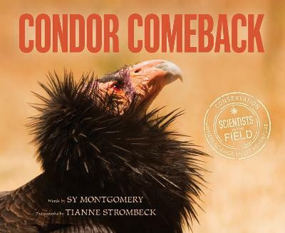 Condor Comeback(English, Paperback, Montgomery Sy)