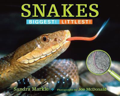 Snakes(English, Paperback, Markle Sandra)