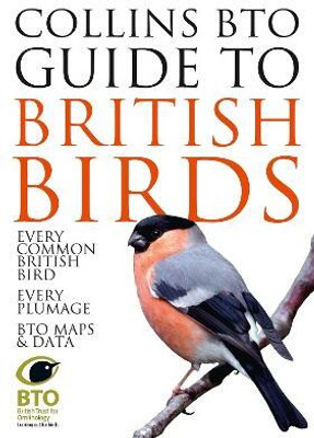 Collins BTO Guide to British Birds(English, Paperback, Sterry Paul)