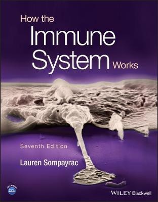 How the Immune System Works(English, Paperback, Sompayrac Lauren M.)