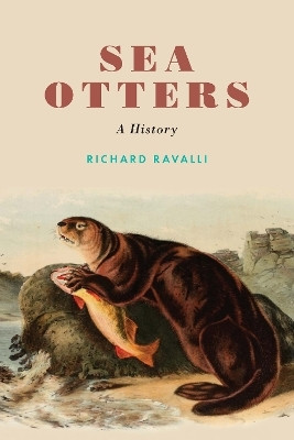 Sea Otters(English, Paperback, Ravalli Richard)