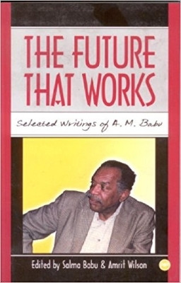 The Future That Works(English, Paperback, Babu Salma)