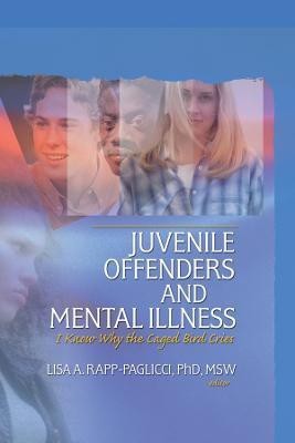 Juvenile Offenders and Mental Illness(English, Paperback, Rapp-Paglicci Lisa A.)