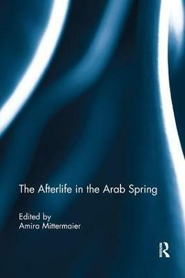 The Afterlife in the Arab Spring(English, Paperback, unknown)