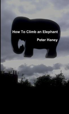 How to Climb an Elephant(English, Paperback, Haney Peter)