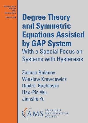 Degree Theory and Symmetric Equations Assisted by GAP System(English, Paperback, Balanov Zalman)