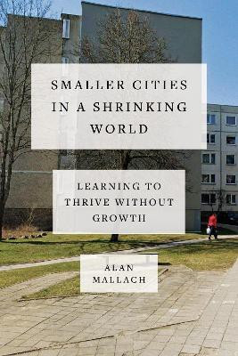 Smaller Cities in a Shrinking World(English, Hardcover, Mallach Alan)