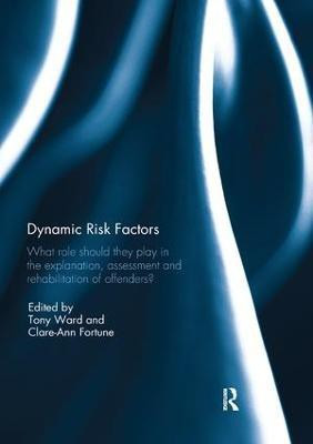 Dynamic Risk Factors(English, Paperback, unknown)