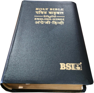 Hindi English Diglot Bible Regular Bl Black (Nap) (Edition1st Edition)(Hindi, Hardcover, unknown)