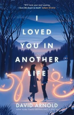 I Loved You In Another Life(English, Paperback, Arnold David)
