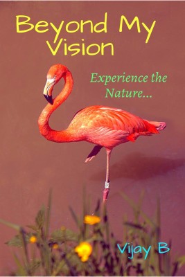 Beyond My Vision(English, Paperback, Vijay B)