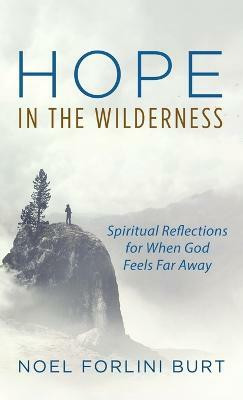 Hope in the Wilderness(English, Hardcover, Forlini Burt Noel)