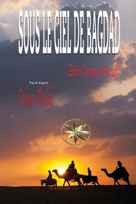 Sous Le Ciel De Bagdad(French, Paperback, Carneiro Baruffi Zelia)