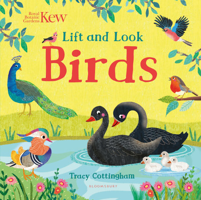 Kew: Lift and Look Birds(English, Board book, unknown)