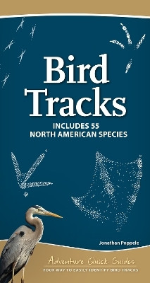Bird Tracks(English, Spiral bound, Poppele Jonathan)