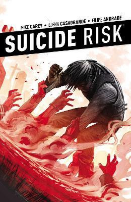 Suicide Risk Vol. 4: Volume 4(English, Paperback, Carey Mike)