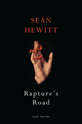 Rapture's Road(English, Paperback, Hewitt Sean)