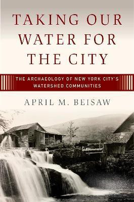 Taking Our Water for the City(English, Electronic book text, Beisaw April M.)