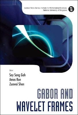 Gabor And Wavelet Frames(English, Hardcover, unknown)