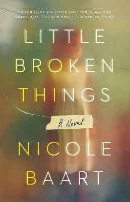 Little Broken Things(English, Paperback, Baart Nicole)