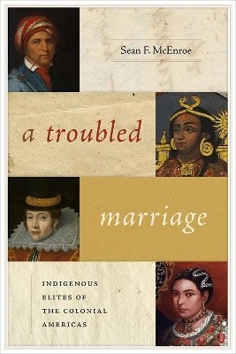 A Troubled Marriage(English, Hardcover, McEnroe Sean F.)