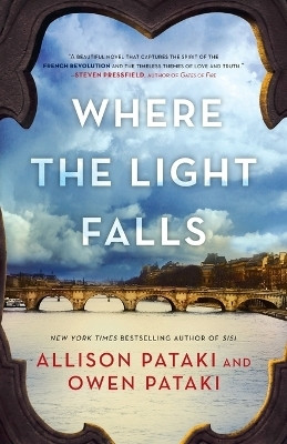 Where the Light Falls(English, Paperback, Pataki Allison)
