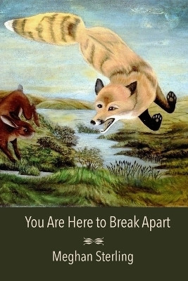 You Are Here to Break Apart(English, Paperback, Sterling Meghan)