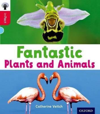 Oxford Reading Tree inFact: Oxford Level 4: Fantastic Plants and Animals(English, Paperback, Veitch Catherine)