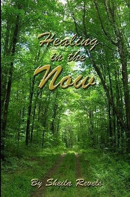 Healing in the Now(English, Paperback, Revels Sheila)