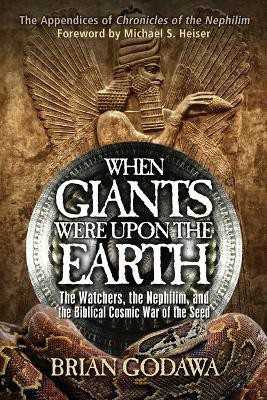 When Giants Were Upon the Earth(English, Paperback, Godawa Brian)
