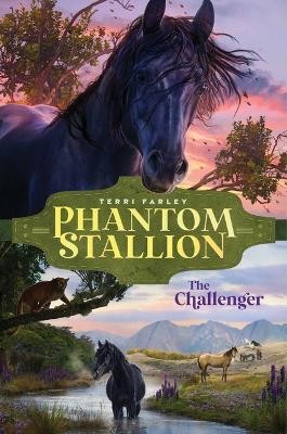 The Challenger: Volume 6(English, Hardcover, Farley Terri)