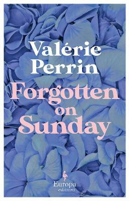 Forgotten on Sunday(English, Paperback, Perrin Valerie)