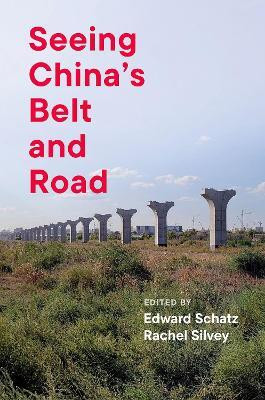 Seeing China's Belt and Road(English, Paperback, unknown)