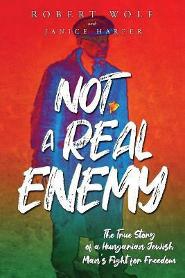 Not a Real Enemy(English, Paperback, Wolf Robert)